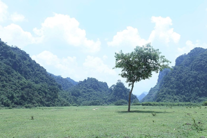 Pristine beauty of Dong Lam plain in Lang Son