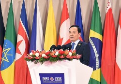 Deputy PM Tran Luu Quang attends 7th China-South Asia Expo