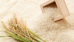 Không riêng gạo, nhiều mặt hàng nông sản xuất khẩu cũng đua nhau tăng mạnh, lập kỷ lục lịch sử
