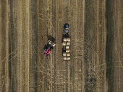 Bất chấp quyết định của EC, ba nước EU đi 'đường riêng' trong vấn đề nhập ngũ cốc Ukraine