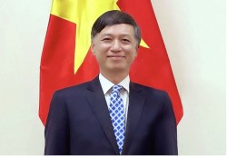 Ngoại trưởng Australia thăm Việt Nam: Tiếp tục củng cố lòng tin chiến lược ngày càng sâu sắc giữa hai nước