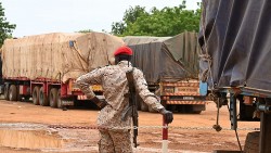 Đảo chính ở Niger: ECOWAS nhận định về kế hoạch chuyển tiếp, Thổ Nhĩ Kỳ nói gì?