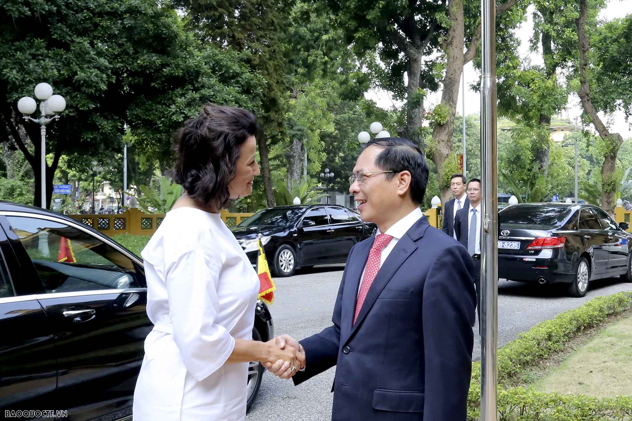 Bộ trưởng Ngoại giao Bùi Thanh Sơn tiếp Chủ tịch Thượng viện Bỉ
