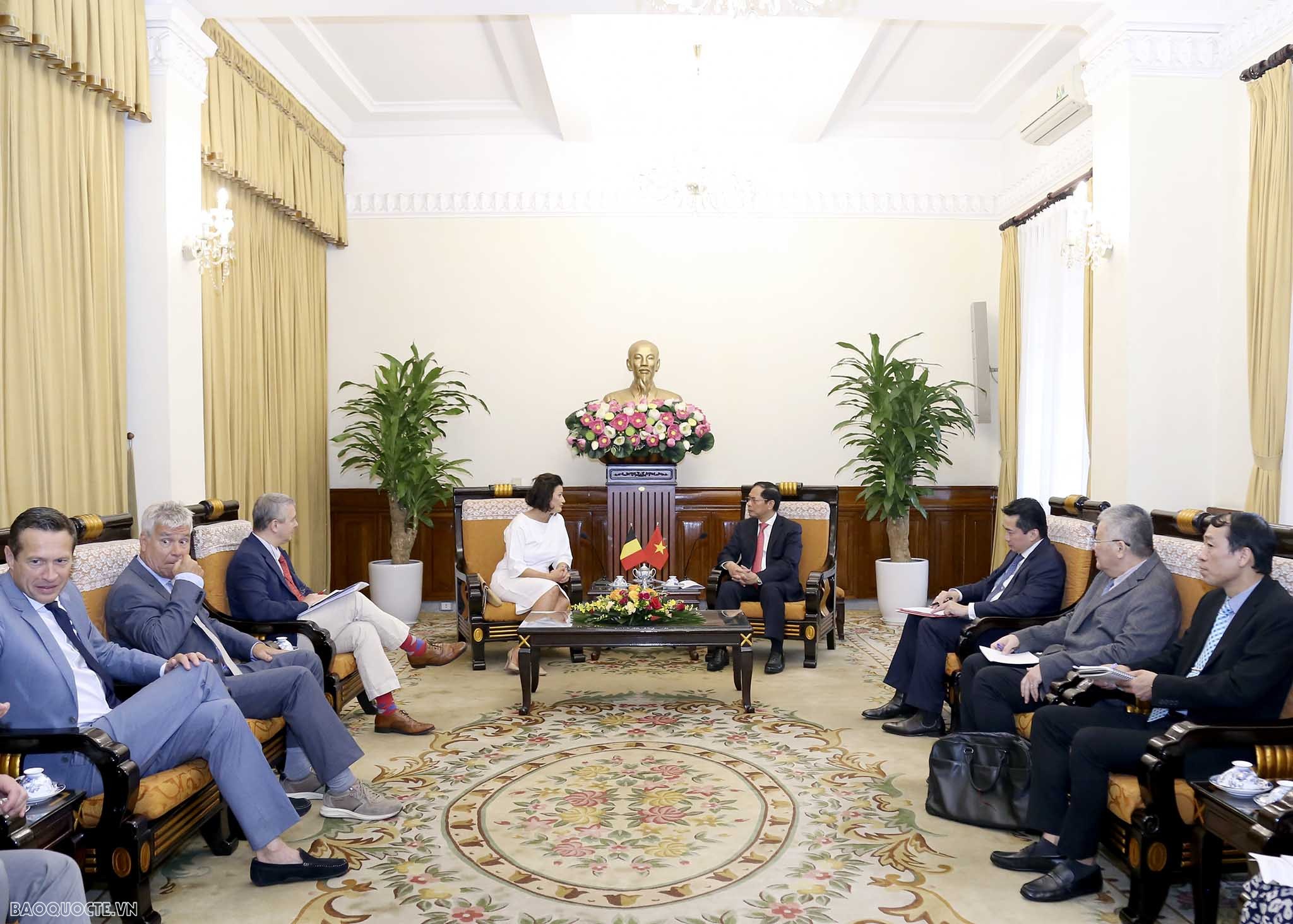 Foreign Minister Bui Thanh Son receives Belgian Senate President Stéphanie D'Hose