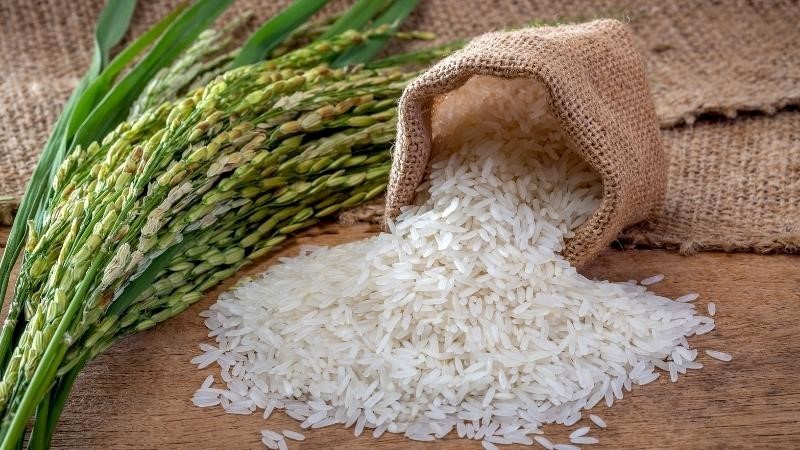 Gạo hữu cơ có giá bán cao hơn nhiều so với các loại gạo thông thường