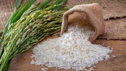 Gạo hữu cơ góp phần quan trọng nâng cao giá trị gạo Việt Nam