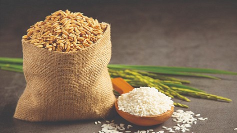 Giá gạo xuất khẩu của Việt Nam tiếp đà tăng, trong nước không lo thiếu hàng