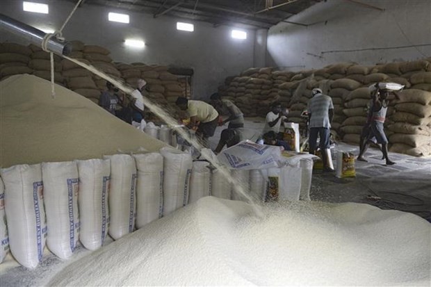 Ấn Độ phát tin vui, 150.000 tấn gạo trắng không phải loại basmati sắp được 'giải cứu'