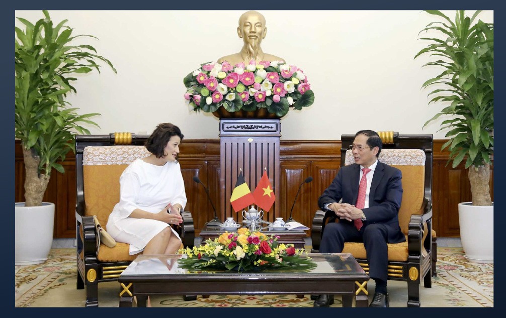 Bộ trưởng Bộ Ngoại giao Bùi Thanh Sơn hội kiến Chủ tịch Thượng viện Bỉ Stéphanie D'Hose.