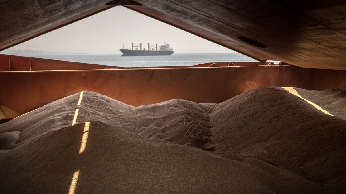 Thỏa thuận ngũ cốc Biển Đen. (Nguồn: Getty Images)
