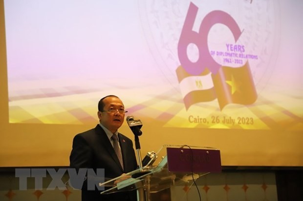 Vietnam-Egypt affirm high determination to lift up bilateral relations: Ambassador