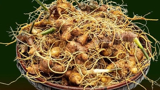 Vietnam builds international brand for ginseng