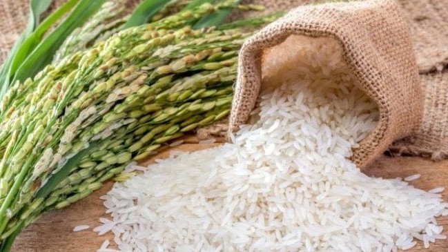 Thị trường gạo thế giới vẫn chưa có dấu hiệu 'hạ nhiệt'