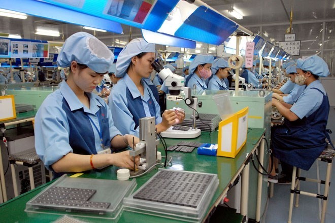 Xuất khẩu ngày 1-3/9: Sầu riêng Việt đang có lợi thế 'một mình một chợ'; mặt hàng nào tăng trưởng 3 con số sang thị trường Ấn Độ