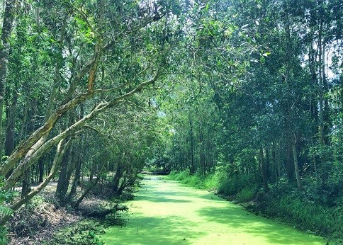 Khu du lịch sinh thái Lung Ngọc Hoàng - Hậu Giang.