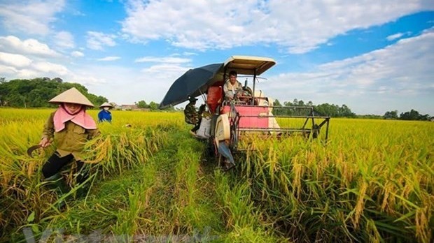 Vietnam keen on improving farmers’ capacity: Official