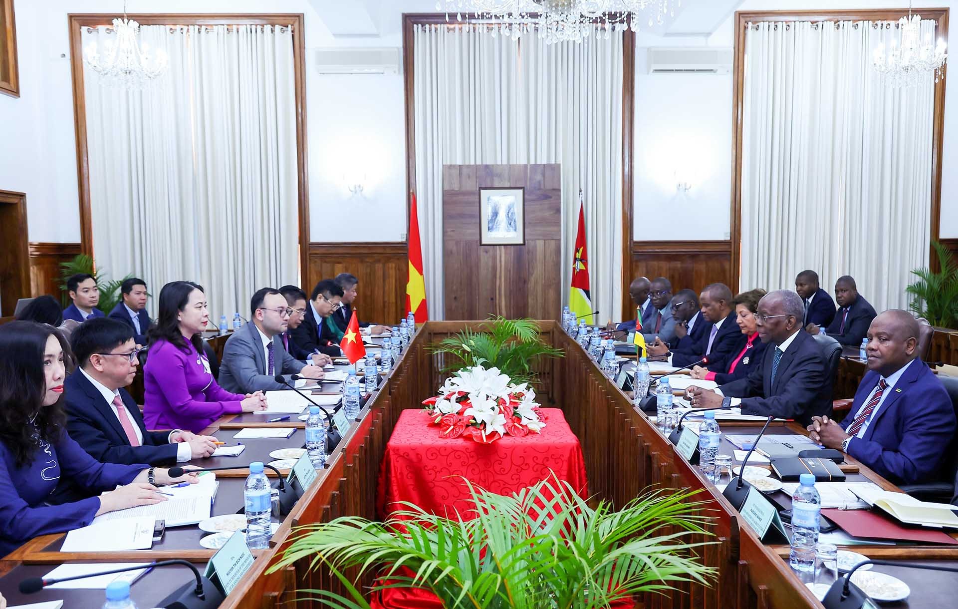 Phó Chủ tịch nước Võ Thị Ánh Xuân hội đàm với Thủ tướng Mozambique Adriano Afonso Maleiane.