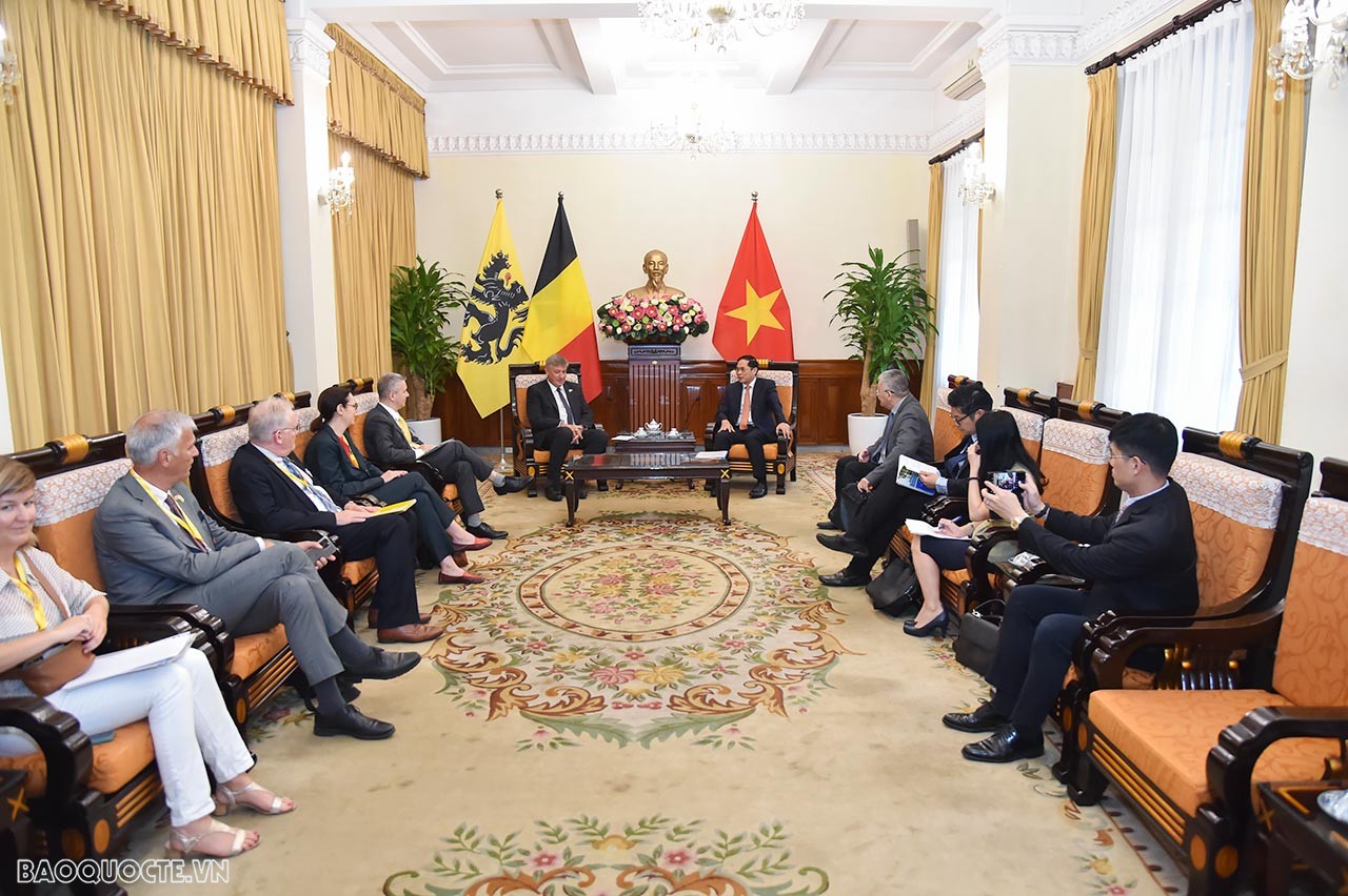 Foreign Minister Bui Thanh Son receives Minister-President of Belgium's Flanders region