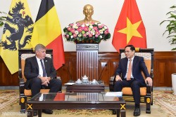 Bộ trưởng - Thủ hiến vùng Flanders dẫn đoàn 30 doanh nghiệp lớn của Bỉ thăm Việt Nam