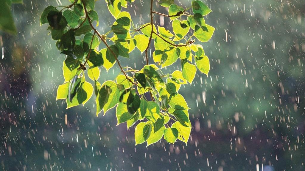 Dự báo thời tiết trong 10 ngày tới (từ 16-26/9): Cả nước mưa rào, dông rải rác, cục bộ có mưa to