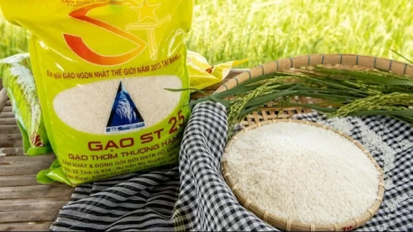 Gạo Việt Nam xuất khẩu vào EU tăng mạnh nhờ EVFTA, ‘cơ hội vàng’ chinh phục thị trường cao cấp