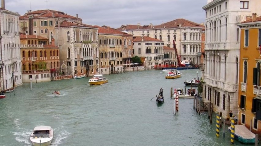 Italy: Thành phố du lịch Venice cảnh báo nguy cơ chim hải âu có thế tấn công du khách