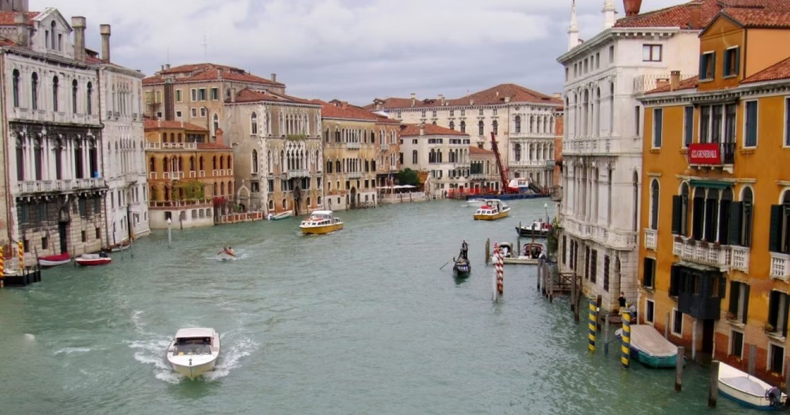 Italy: Thành phố du lịch Venice cảnh báo nguy cơ chim hải âu có thế tấn công du khách