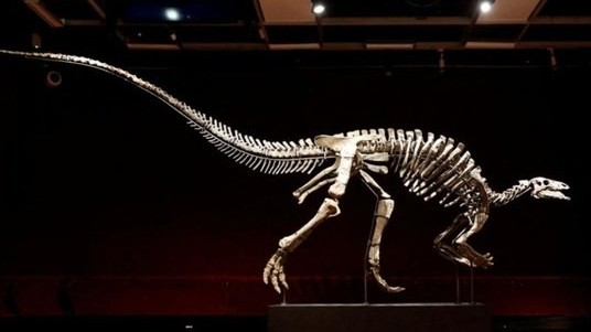 Bán đấu giá bộ hóa thạch xương khủng long kỷ Jura cách đây 150 triệu năm