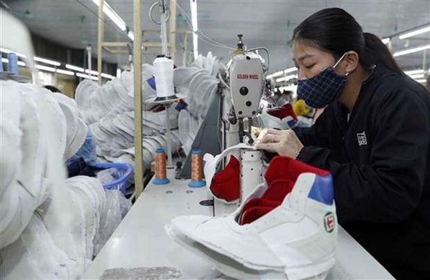 Vietnam plays important role in supply chains of major global sporting goods brands: Workshop