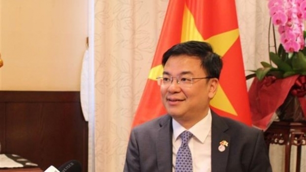 Ample room remains for Vietnam-Japan relations: Ambassador
