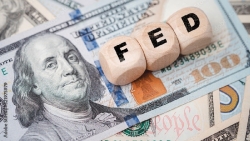 Tỷ giá ngoại tệ hôm nay 21/9: Tỷ giá USD, EUR, Yen Nhật, Bảng Anh, tỷ giá hối đoái... Fed ‘hạ cánh mềm’, đồng bạc xanh tăng nhẹ