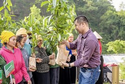 Trao tặng 250.000 cây xanh cho 2 tỉnh Yên Bái và Lào Cai, tiếp nối 'Hành động vì một Việt Nam xanh'