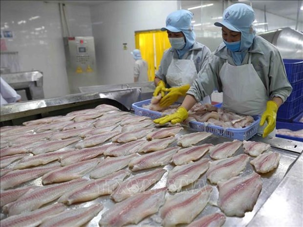 Good news for Vietnam’s tra fish exports to US