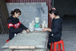 Sản phẩm OCOP Bắc Giang: Động lực thúc đẩy kinh tế khu vực nông nghiệp, nông thôn