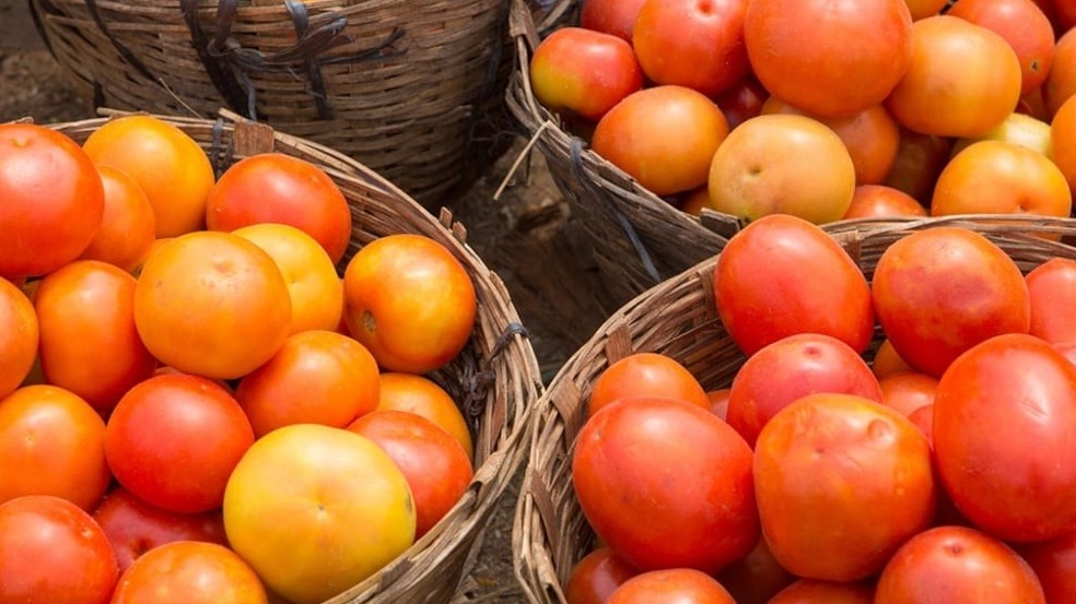 Những dưỡng chất cần thiết cho cơ thể trong quả cà chua sống và khi nấu chín
