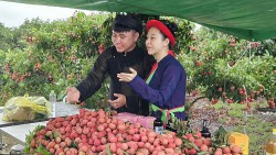 Chuyển đổi số ‘chắp cánh’ cho sản phẩm OCOP Bắc Giang đến thị trường trong và ngoài nước