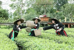 Hướng đi triển vọng của khu du lịch sinh thái, văn hóa bản Ven, Bắc Giang