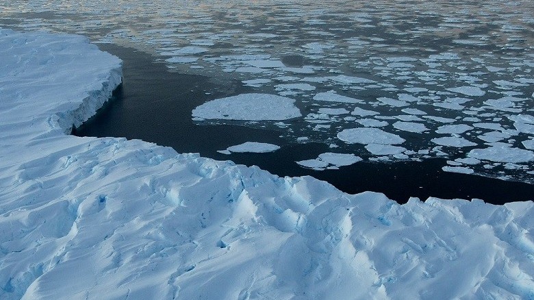 Diện tích tối đa bề mặt băng biển xung quanh Nam Cực có thể ở mức thấp kỷ lục hơn 40 năm qua