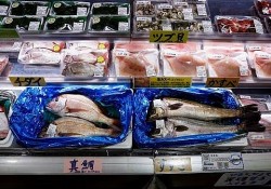 Trung Quốc cấm nhập hải sản, hơn 80% thành viên Liên đoàn hợp tác xã nghề cá quốc gia Nhật Bản bị ảnh hưởng