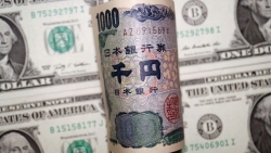 Bộ trưởng Janet Yellen thừa nhận một điều về đồng Yen, nói Mỹ sẽ tham vấn Nhật Bản