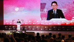 Để ASEAN-Nhật Bản vững vàng trước sóng gió