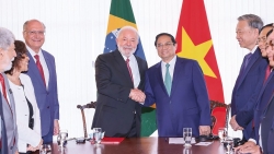 Đại sứ Marco Farani: Động lực mới cho quan hệ hợp tác song phương Brazil - Việt Nam