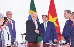 Đại sứ Marco Farani: Động lực mới cho hợp tác song phương Brazil - Việt Nam