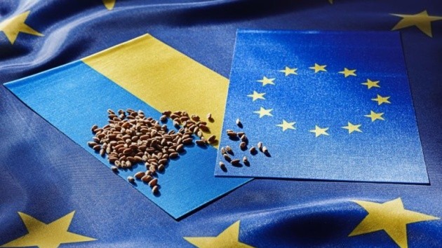 Ukraine tạm dừng 'gõ cửa' WTO, nghiên cứu giải pháp phức hợp, Ba Lan nói 'bước đi cần thiết'