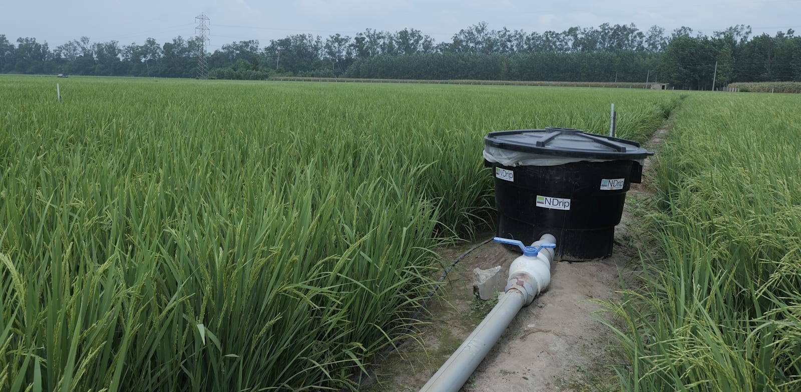 Vietnam can apply Israel's wastewater recycling model: Ambassador Gideon Behar