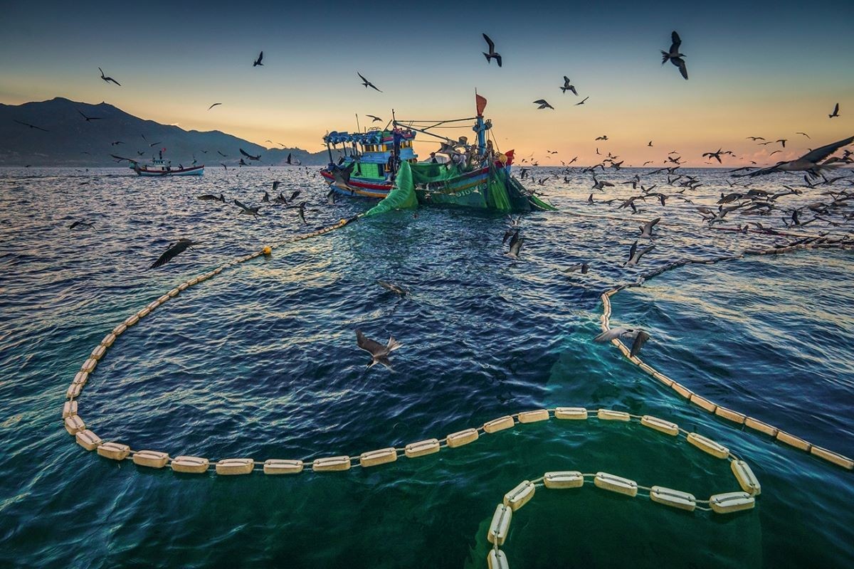 the EC has concluded that Vietnam's efforts to have the yellow card lifted are on the right track, and that the fight against IUU fishing has been prioritised by the Vietnamese government and yielded marked results.Fishing boats in Phu Yen province. (Photo: tuoitre.vn)