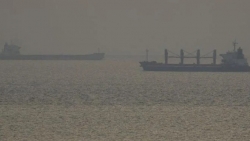 Các tàu chở hàng bắt đầu rời cảng Ukraine qua 'hành lang nhân đạo" tạm thời