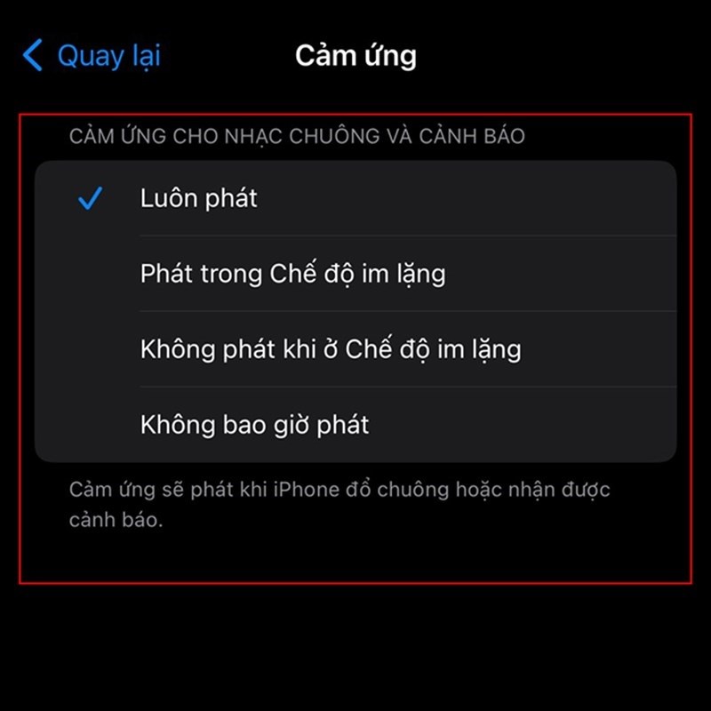 Dễ dàng tuỳ chỉnh chế độ rung trên iOS 17 theo ý muốn