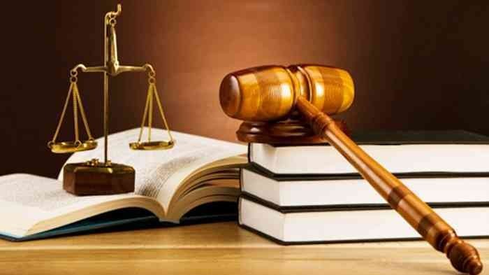 Tòa án nhân dân tối cao công bố thêm 07 án lệ mới