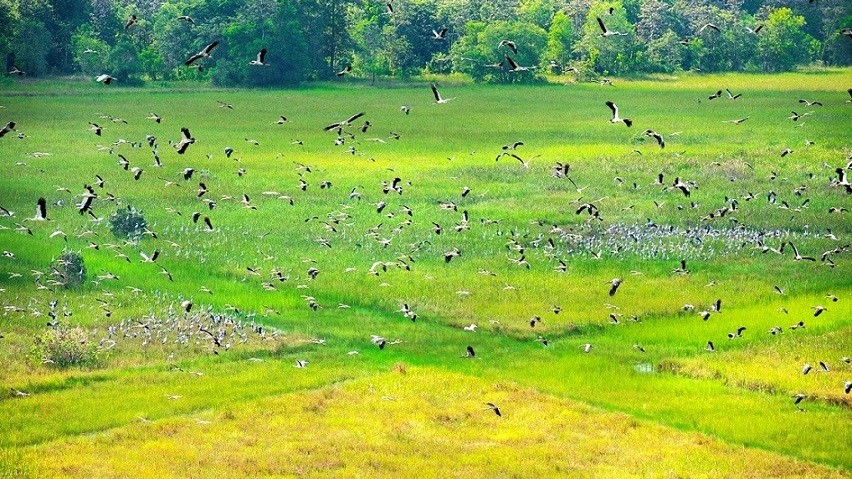 Tay Ninh: Lo Go-Xa Mat National Park preserves biodiversity in tourism development